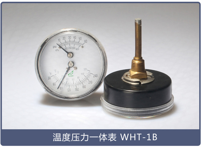溫度壓力一體表WHT-1B