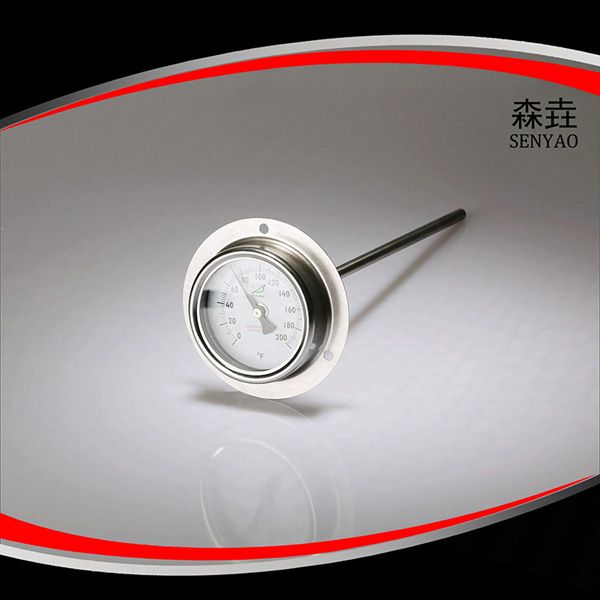 帶后法蘭雙金屬溫度計 型號:T221F 帶后法蘭雙金屬溫度計 型號:T221F