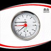 溫度壓力一體表 型號(hào):WHT-20 溫度壓力一體表 型號(hào):WHT-20